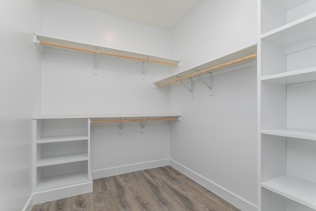 spacious closet with hardwood / wood-style flooring