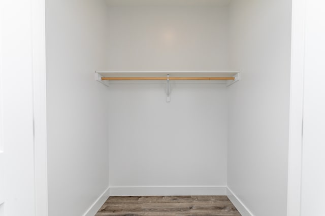 spacious closet featuring hardwood / wood-style floors