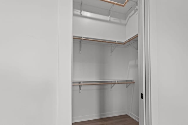 walk in closet featuring dark hardwood / wood-style floors