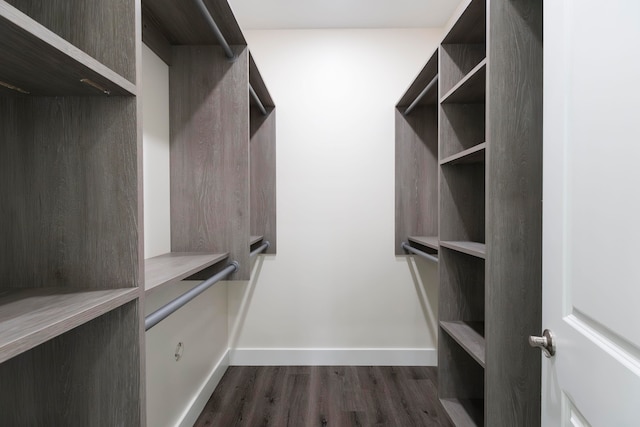 walk in closet featuring dark hardwood / wood-style flooring