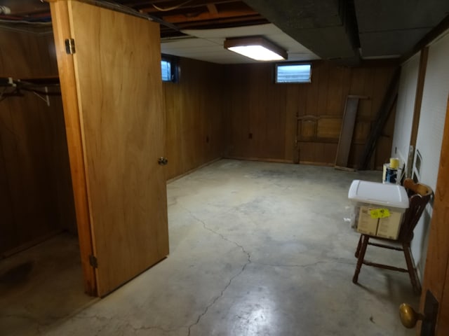 basement with wood walls