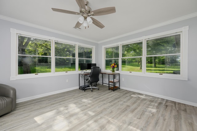 unfurnished office with a healthy amount of sunlight, ornamental molding, ceiling fan, and light wood-type flooring