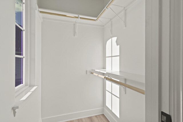 1704 Stillpoint Ct, Columbia, MO 65203 - walk in closet with light wood-style floors