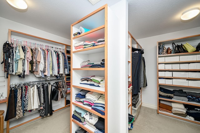 spacious closet featuring light colored carpet