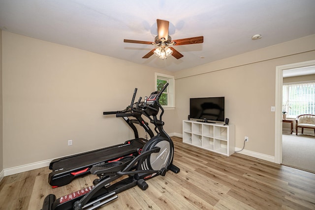 workout room with light hardwood / wood-style floors, a wealth of natural light, and ceiling fan