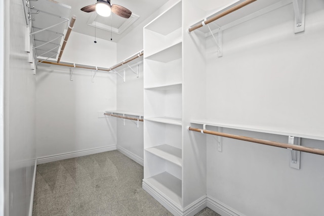 1703 Linkside Dr, Columbia, MO 65201 - walk in closet with carpet and a ceiling fan
