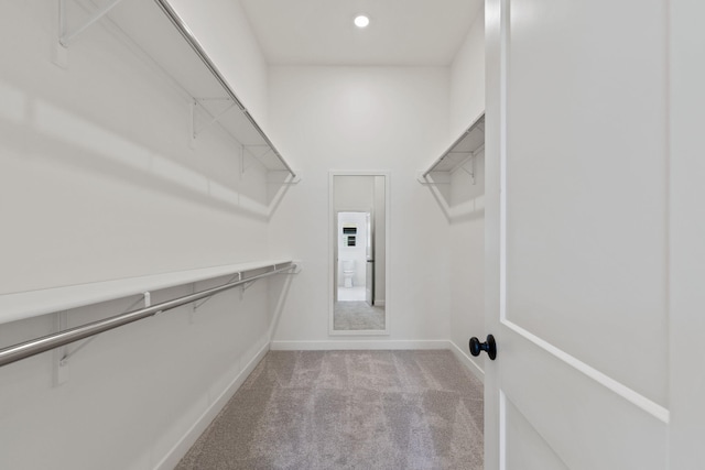 spacious closet featuring light carpet