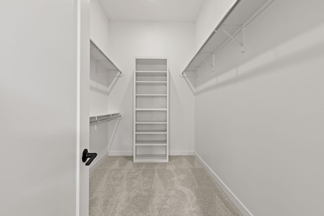 walk in closet featuring light colored carpet