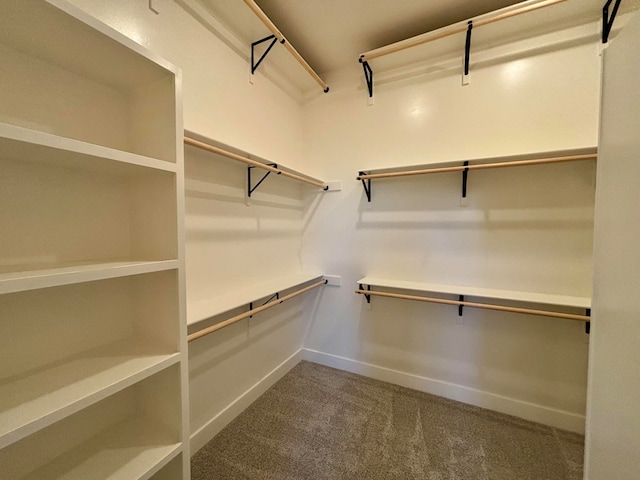 walk in closet with carpet