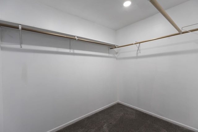 walk in closet featuring dark colored carpet