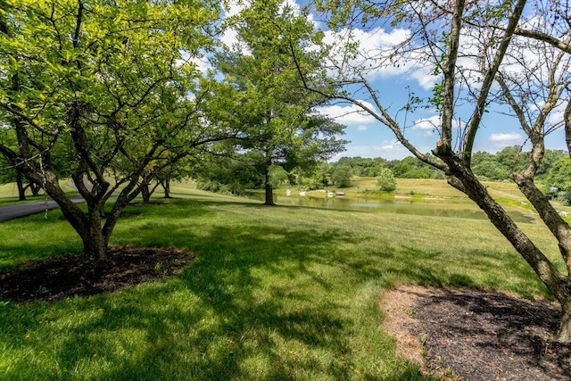 view of yard with a water view