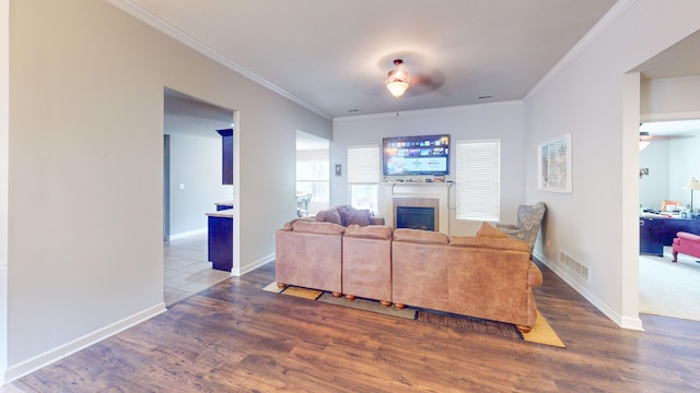 living room featuring ceiling fan, dark hardwood / wood-style floors, and crown molding