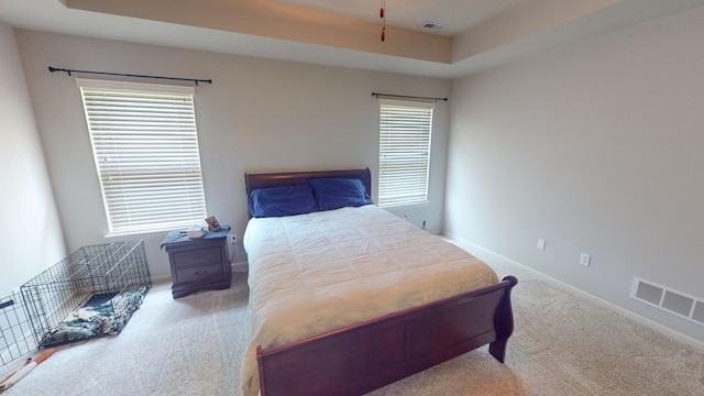 carpeted bedroom featuring a tray ceiling