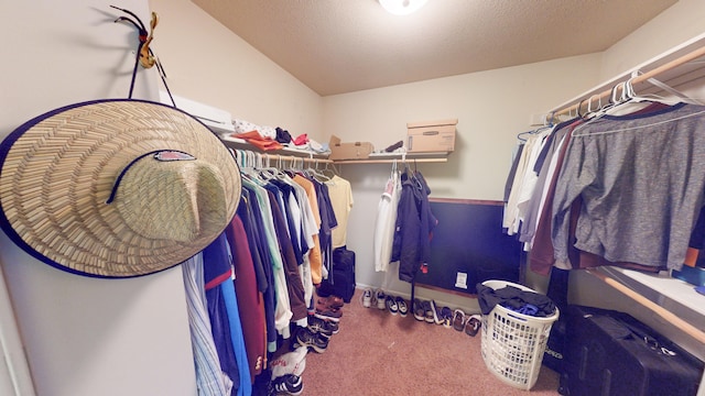 walk in closet featuring carpet flooring