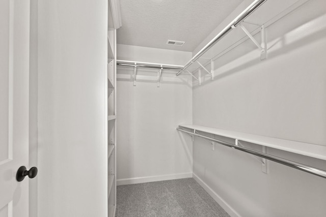 walk in closet featuring carpet flooring