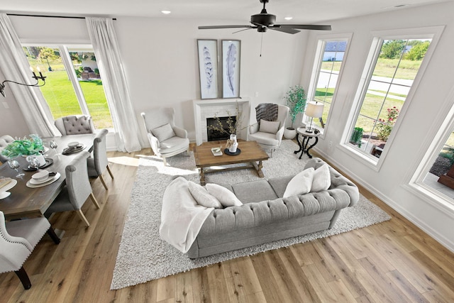 living room featuring light wood-type flooring and ceiling fan