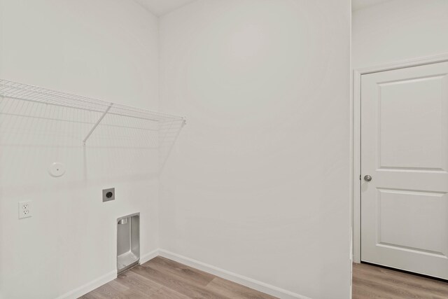 laundry room featuring hookup for an electric dryer and light wood-type flooring