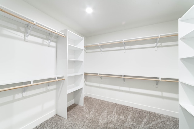 spacious closet featuring light colored carpet