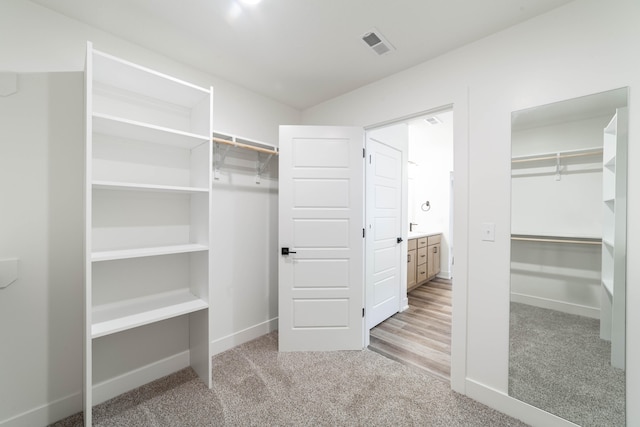 spacious closet featuring carpet flooring