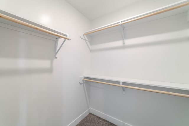 spacious closet with dark colored carpet