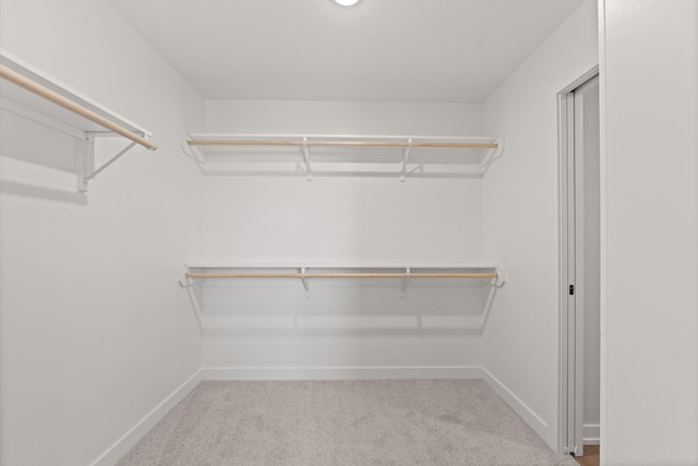 spacious closet with light carpet