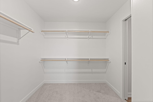 walk in closet featuring carpet flooring