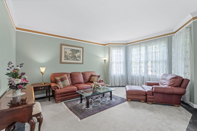 living area with carpet and crown molding