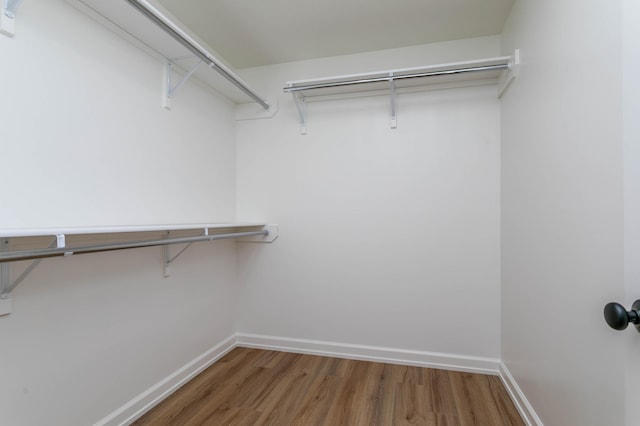 spacious closet featuring hardwood / wood-style flooring