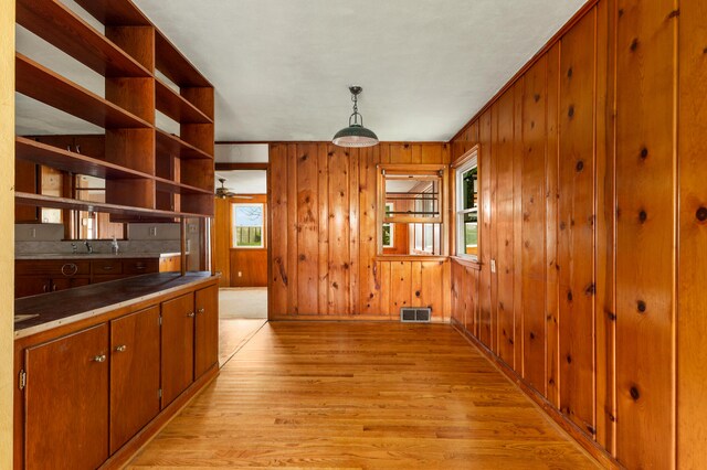 interior space featuring light wood-type flooring, plenty of natural light, and wood walls