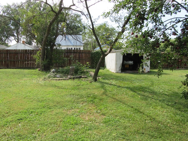 view of yard featuring a storage shed