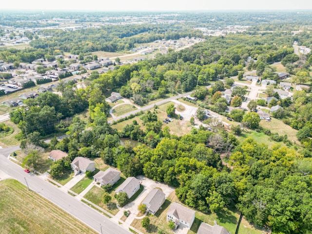 bird's eye view