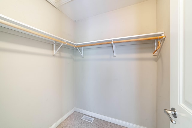 spacious closet featuring carpet