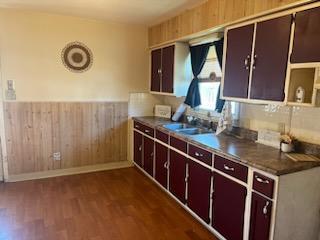 kitchen with dark wood-type flooring and sink