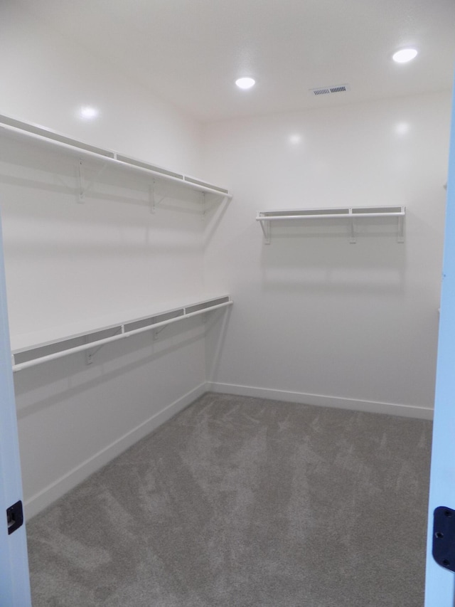14 Carnival Ln, Centralia, MO 65240 - spacious closet featuring carpet