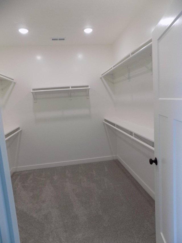 14 Carnival Ln, Centralia, MO 65240 - spacious closet with carpet flooring