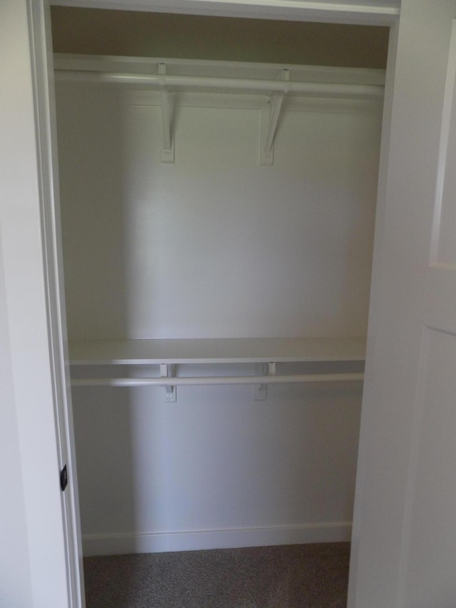 14 Carnival Ln, Centralia, MO 65240 - view of closet