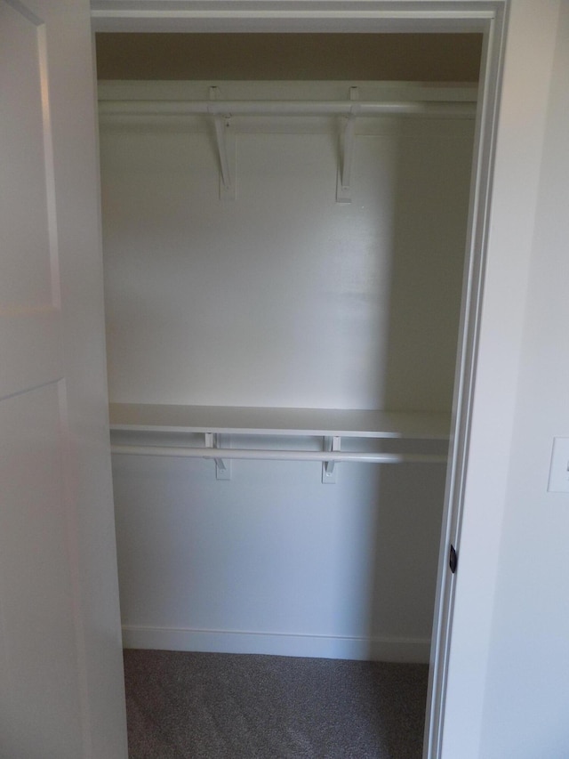 14 Carnival Ln, Centralia, MO 65240 - view of closet