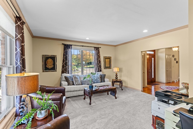 living room with crown molding and wood-type flooring