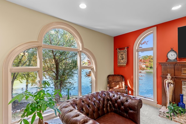 sitting room featuring carpet floors