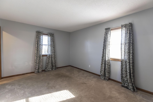 spare room featuring carpet and a textured ceiling