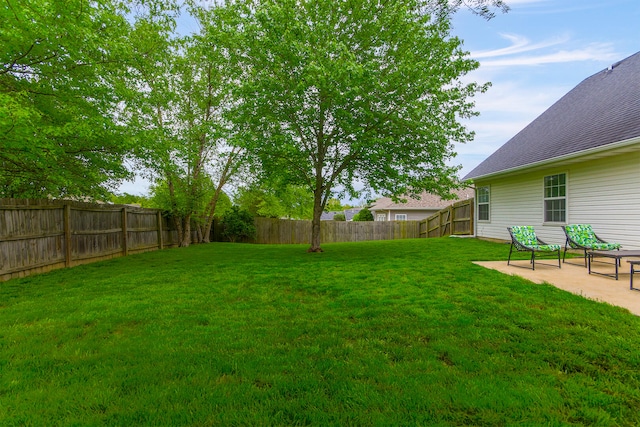 view of yard featuring a fenced backyard and a patio