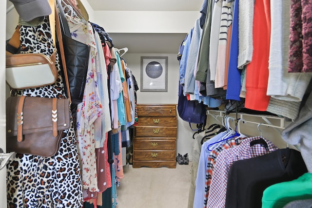 spacious closet featuring carpet