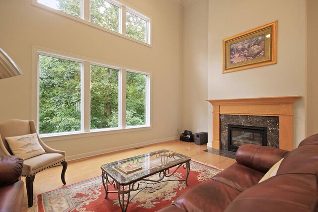 living room featuring hardwood / wood-style flooring, a healthy amount of sunlight, and a fireplace