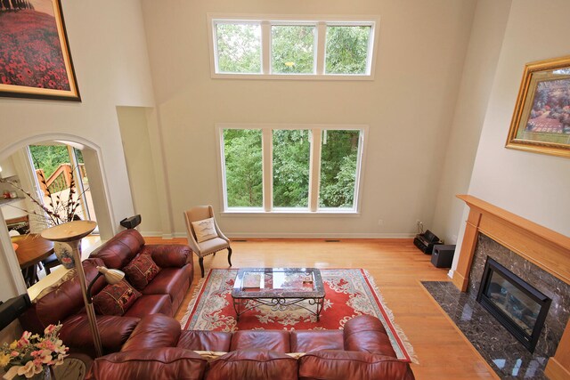 living room featuring light wood-type flooring, a wealth of natural light, and a fireplace