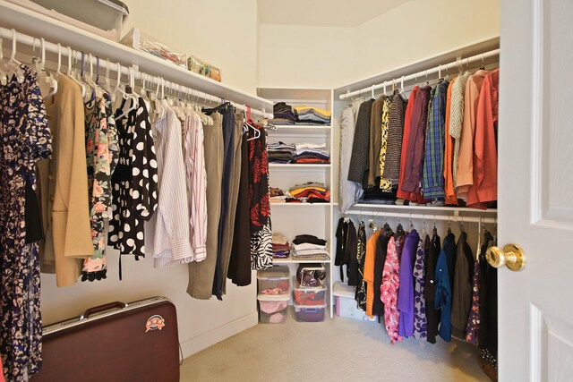 spacious closet with carpet floors