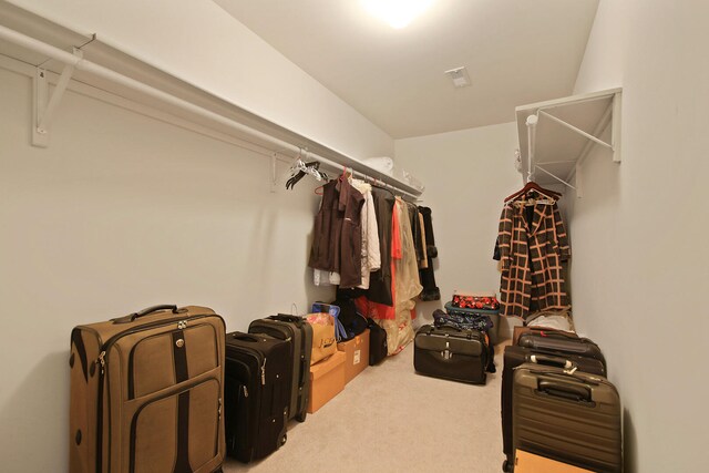 spacious closet featuring carpet