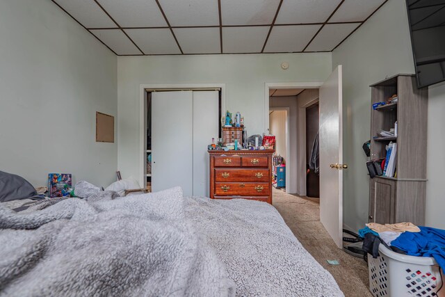 carpeted bedroom featuring a closet and a paneled ceiling