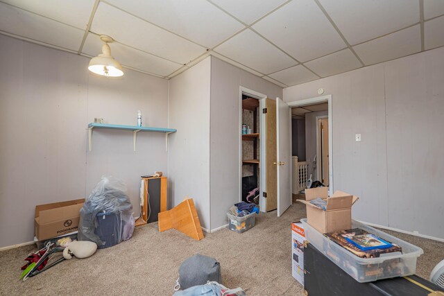 interior space with carpet flooring and a paneled ceiling