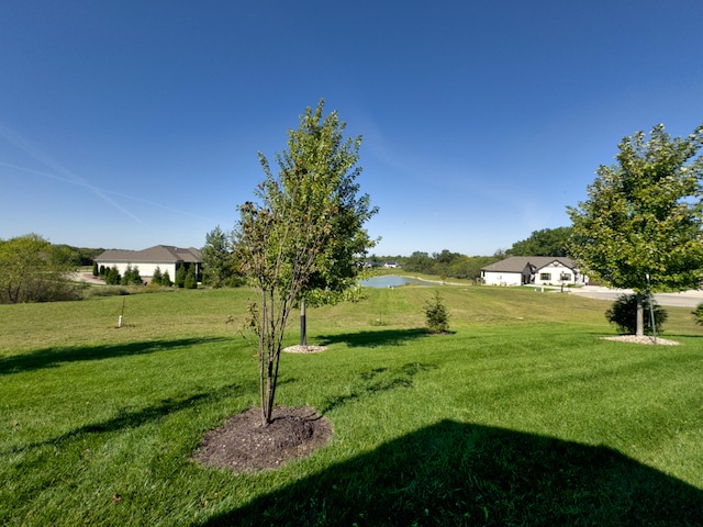 view of yard with a water view