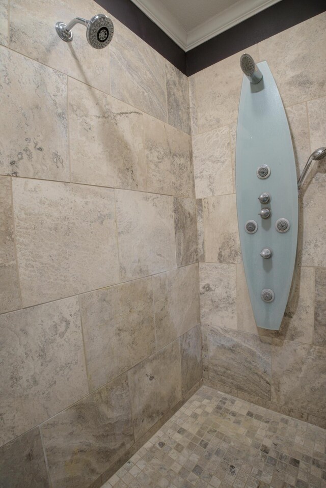 4200 S Rangeline Rd, Columbia, MO 65201 - bathroom view of crown molding and tiled shower